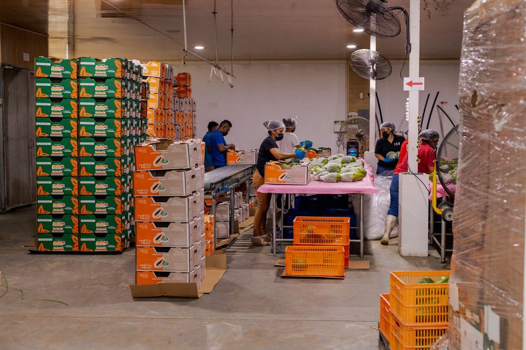 -Ferias internacionales proporcionan un excelente trampolín para las exportaciones agrícolas panameñas